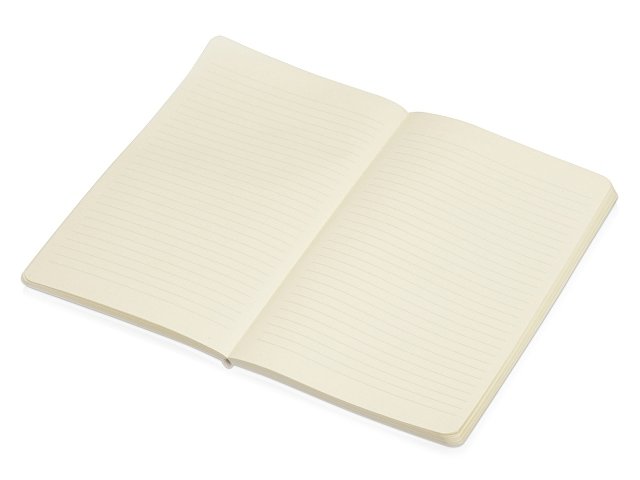 Блокнот А5 «Softy» soft-touch thumbnail