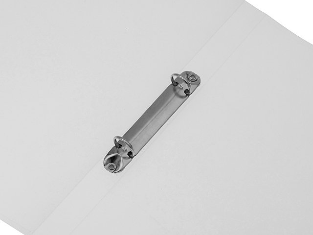 Папка на 2-х кольцах thumbnail