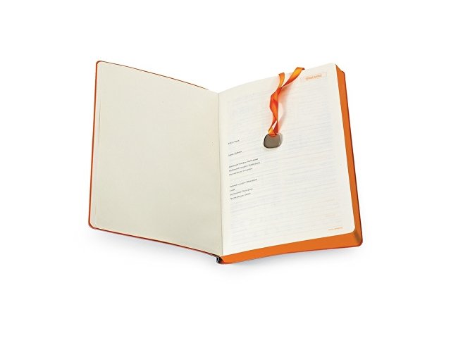 Ежедневник недатированный А5 «Mercury» thumbnail