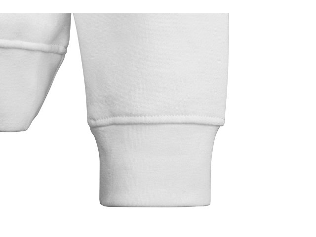 Толстовка «Rome» мужская thumbnail