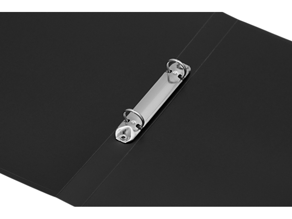 Папка на 2-х кольцах фото 5 Папка на 2-х кольцах фото 5