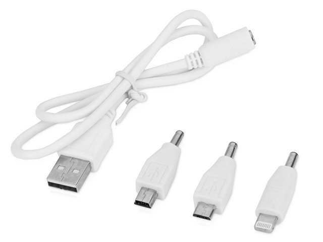 Подарочный набор Flashbank с флешкой и зарядным устройством thumbnail