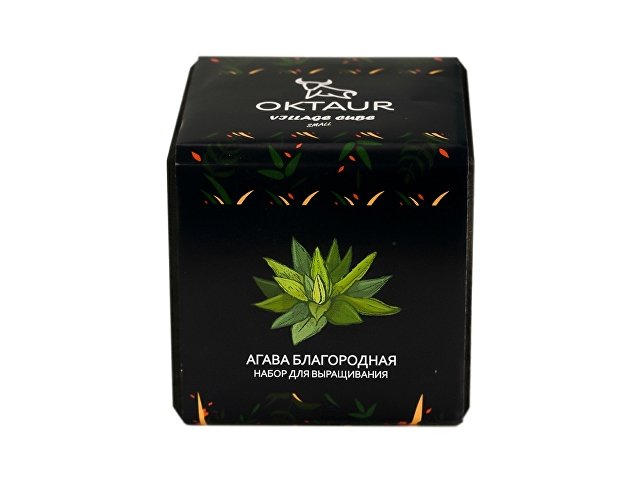 Набор для выращивания «Small village cube «Агава Благородная» thumbnail