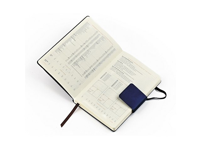 Ежедневник недатированный А5 «Zenith» thumbnail