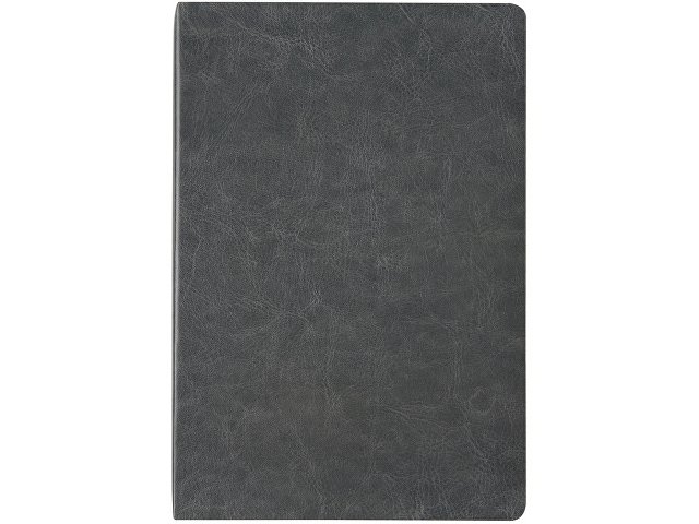 Ежедневник недатированный А5 «Megapolis Nebraska Flex» thumbnail