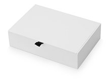 Коробка подарочная White S (арт. 6211206)