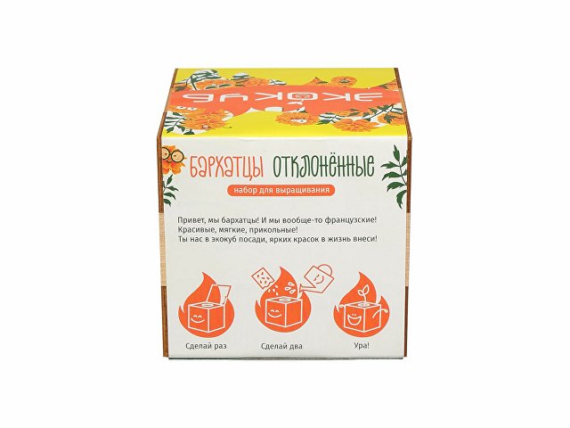 Набор для выращивания «Бархатцы»