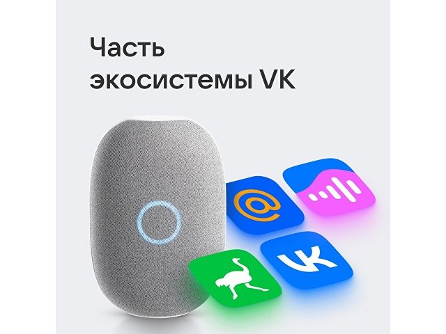 Умная колонка VK «Капсула» с голосовым помощником Марусей, 30 Вт