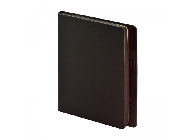 Ежедневник недатированный А5 «Megapolis Magnet» thumbnail