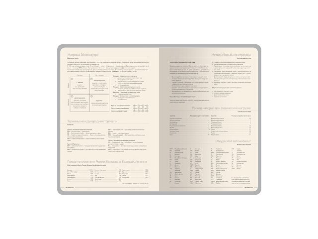 Ежедневник А5 датированный «Megapolis Nappa» на 2026 thumbnail