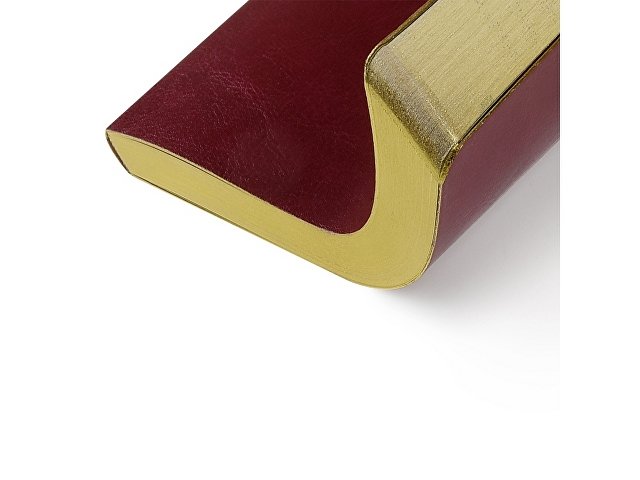 Ежедневник недатированный А5 «Megapolis Nebraska Flex» thumbnail