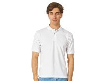 Рубашка поло "Boston 2.0" мужская (арт. 3177FN10M)