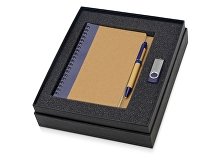 Подарочный набор Essentials с флешкой и блокнотом А5 с ручкой (арт. 700321.02)