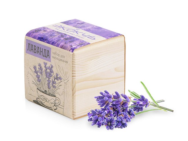 Набор для выращивания «Лаванда» thumbnail