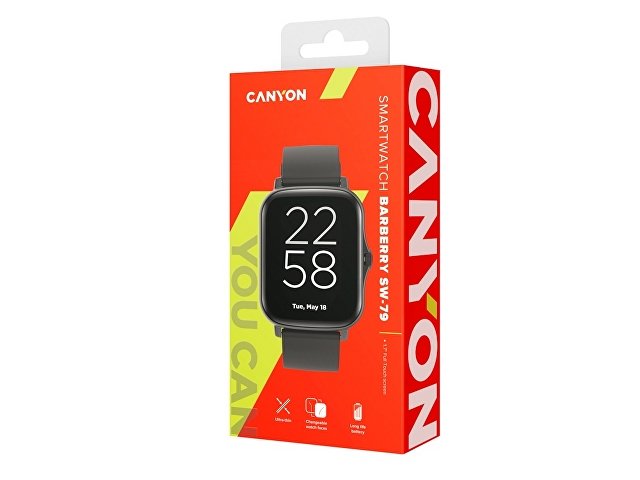 Умные часы «Barberry SW-79», IP67 thumbnail