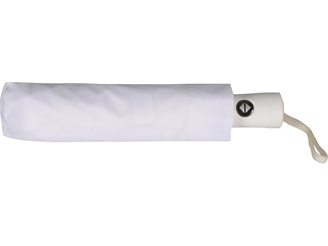 Зонт складной «Сторм-Лейк» thumbnail