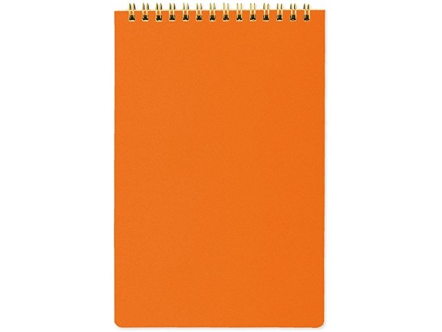 Блокнот А5 «Pragmatic»