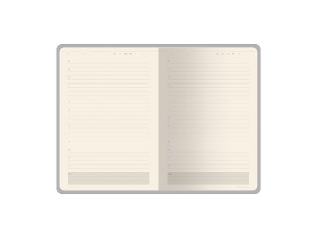 Ежедневник недатированный А5 «Status»