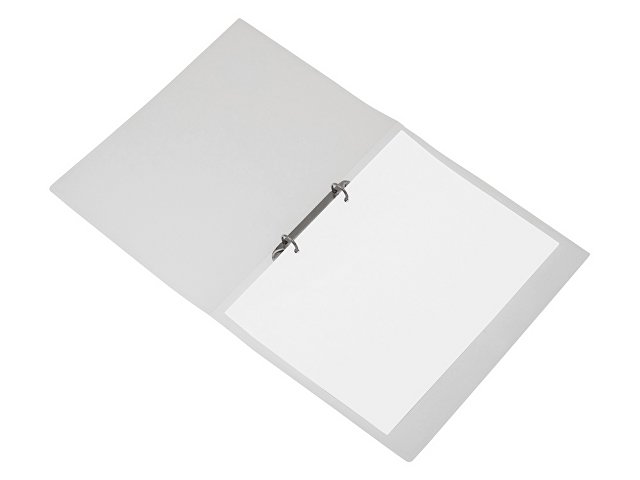 Папка на 2-х кольцах thumbnail