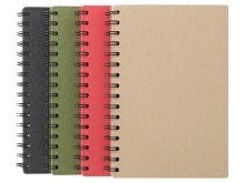 Блокнот А5 на спирали «Mania»