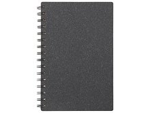 Блокнот А5 на спирали «Mania»