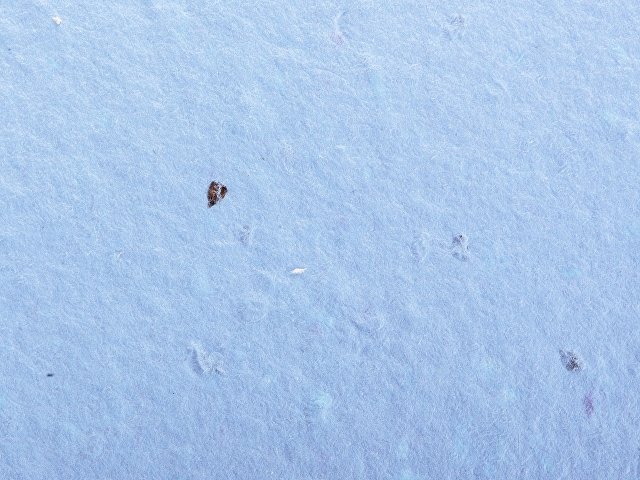 Блокнот А6 с бумажным карандашом и семенами цветов микс