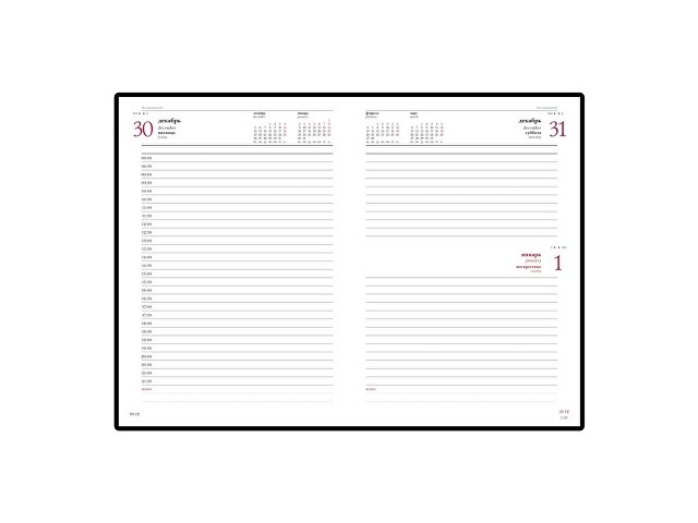 Ежедневник датированный А5 «Ideal New» на 2025 год thumbnail