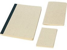 Подарочный набор «Verde»: блокнот А5, блокнот А6, бумага для заметок (арт. 10778110)