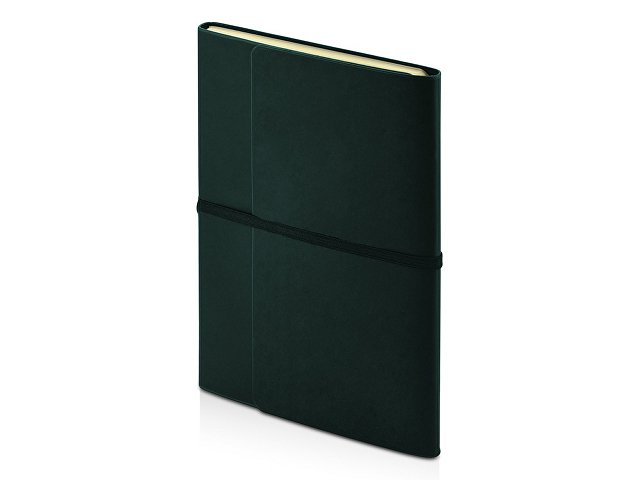 Ежедневник недатированный А5 «Valencia»