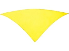 Шейный платок FESTERO треугольной формы (арт. PN900303)