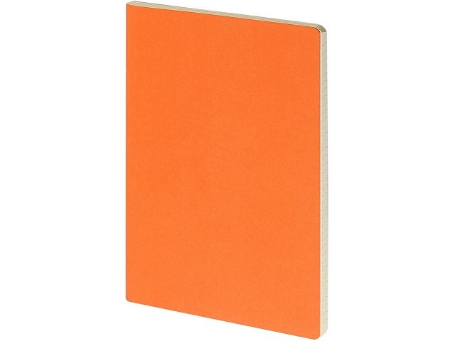 Бизнес-тетрадь А4 «Pragmatic» thumbnail