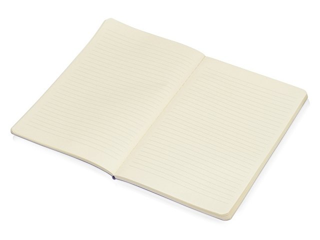 Блокнот А5 «Softy» soft-touch thumbnail