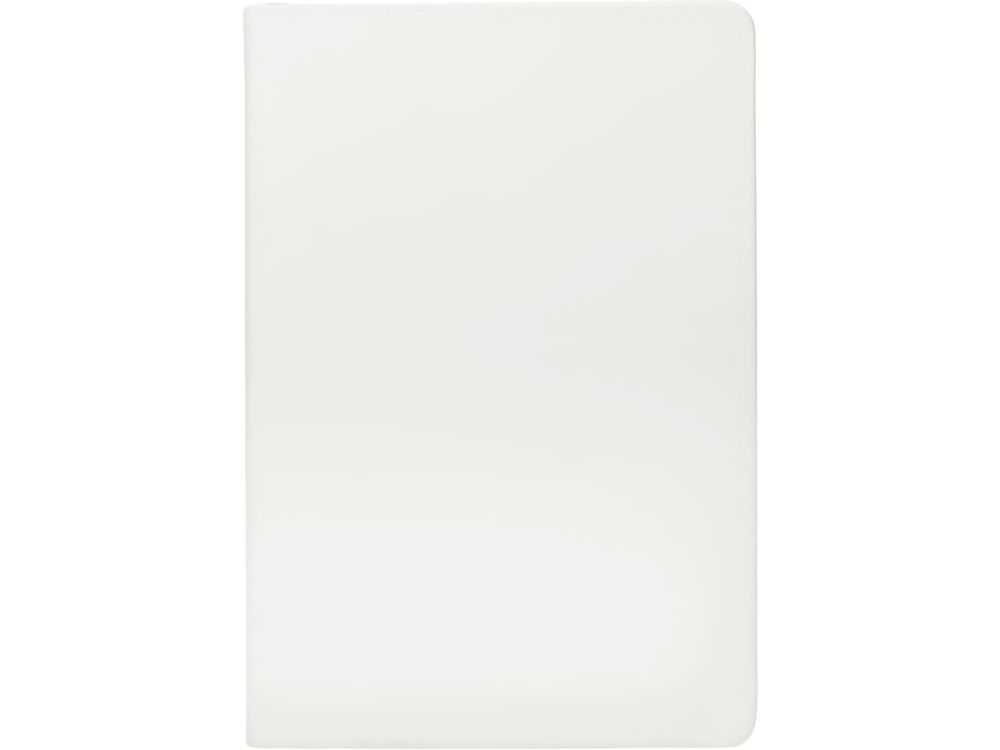 Бизнес-блокнот А5 C2 soft-touch