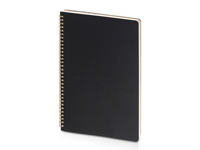 Бизнес-тетрадь А4 «Pragmatic»