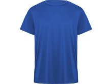 Спортивная футболка «Daytona» мужская (арт. 420CA05M)