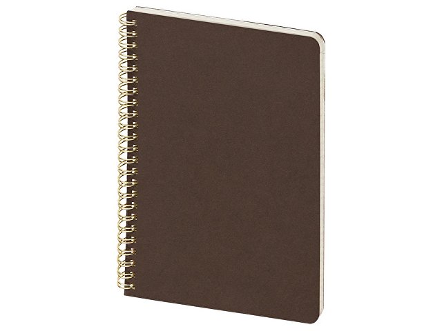 Бизнес тетрадь А5 «Pragmatic»