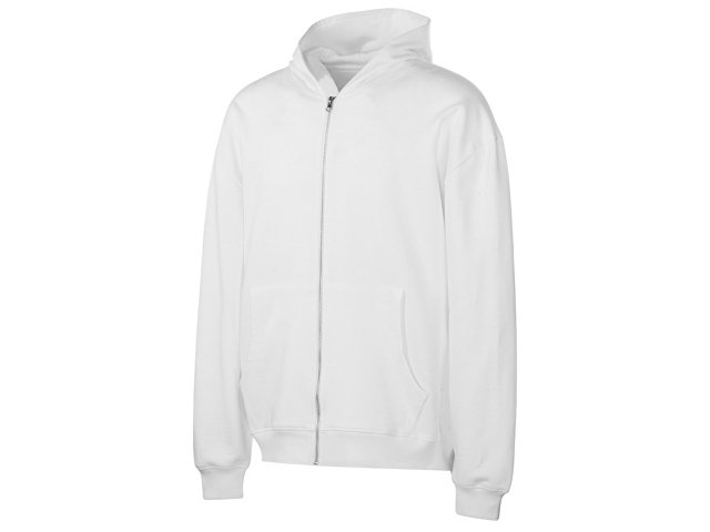 Толстовка оверсайз с капюшоном на молнии «Monaco» thumbnail