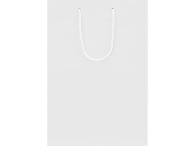 Пакет подарочный Imilit T thumbnail