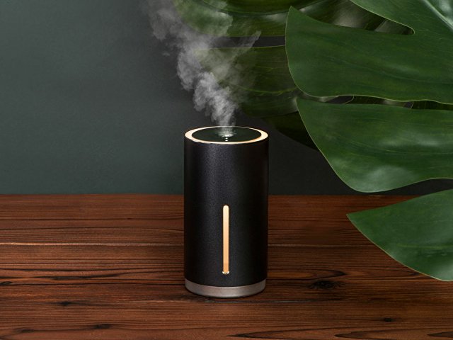 Портативный увлажнитель с функцией санитайзера «Clain» thumbnail