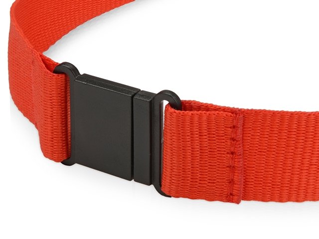 Ланьярд с карабином и замком безопасного разрыва thumbnail