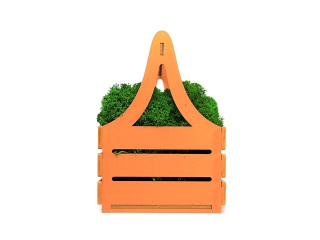 Композиция «Корзинка со мхом» thumbnail