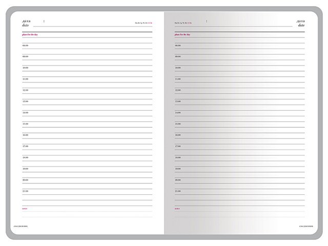 Ежедневник недатированный А5+ «Россия. Флаг» thumbnail