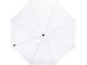 Birgit, складной ветроустойчивой зонт диаметром 21 дюйм из переработанного ПЭТ, белый