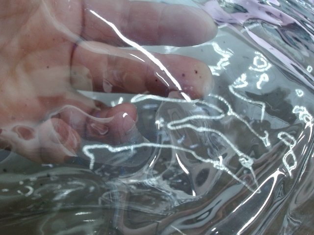 Сумка «Frank» из прозрачного пластика с регулирующейся лямкой thumbnail