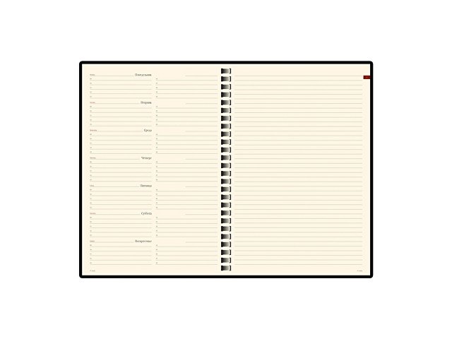 Еженедельник недатированный А5 «Concept» thumbnail