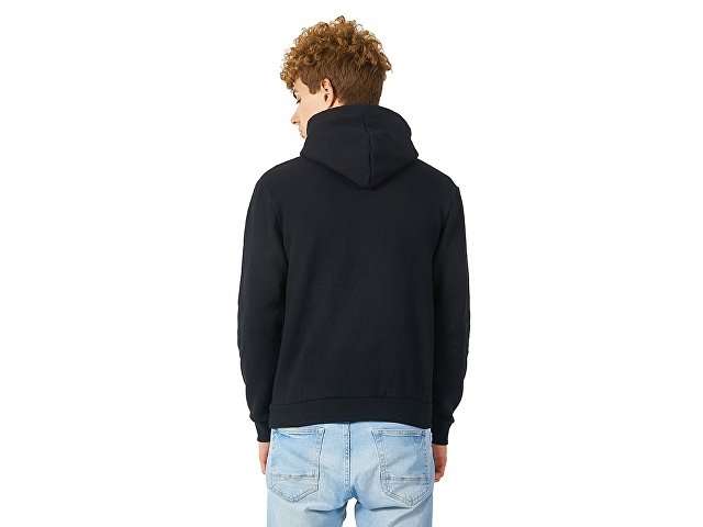 Толстовка с капюшоном «Amsterdam» мужская thumbnail