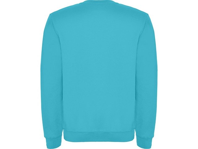 Свитшот с начесом «Clasica» унисекс thumbnail