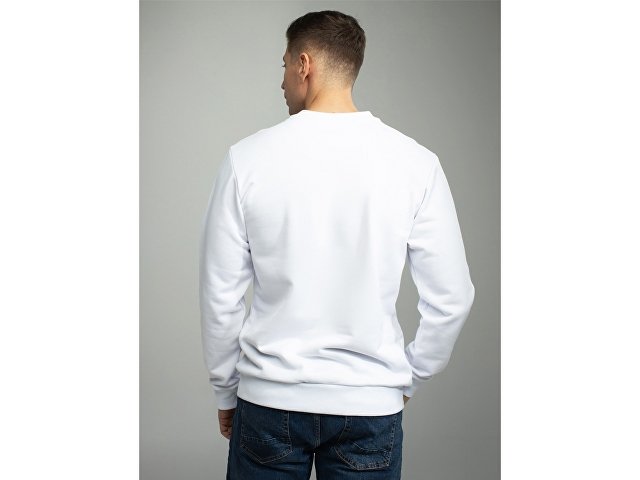 Свитшот для сублимации «Evolution» унисекс thumbnail