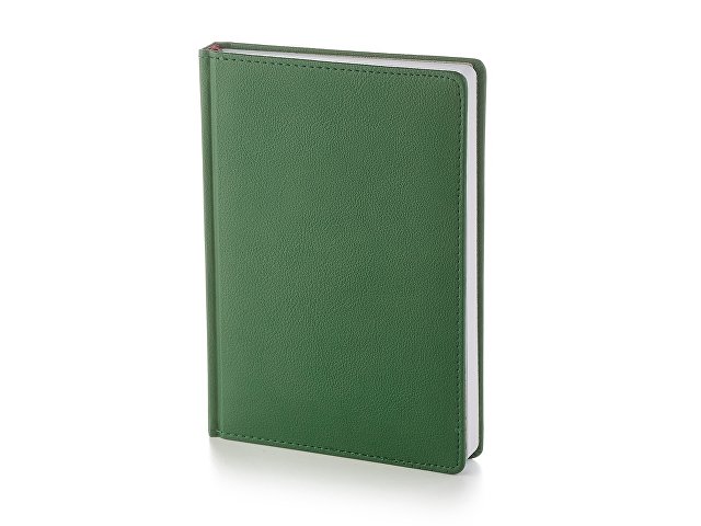 Ежедневник А5 датированный «Leader» на 2026 год