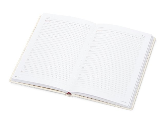 Ежедневник недатированный А5 «Velvet» thumbnail